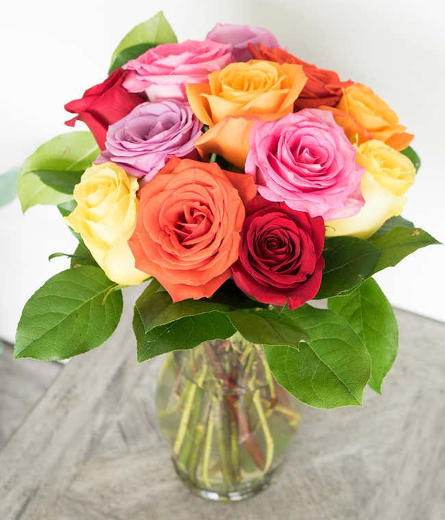One Dozen Rainbow Roses