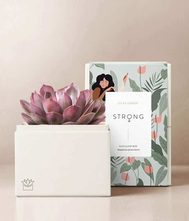 Lula's Garden &reg; Women's History Month Bliss Garden