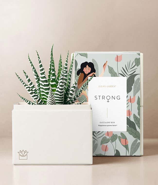 Lula's Garden &reg; Women's History Month Petite Garden