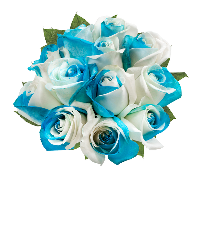 Partial image of One dozen blue and white swirled roses with an optional vase and personalized card message without vase