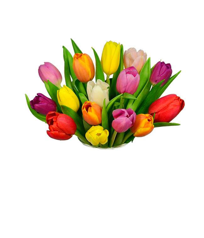 Partial image of Bouquet of 12 vibrant rainbow tulips with optional elegant glass vase and personalized gift message for a new baby. without vase