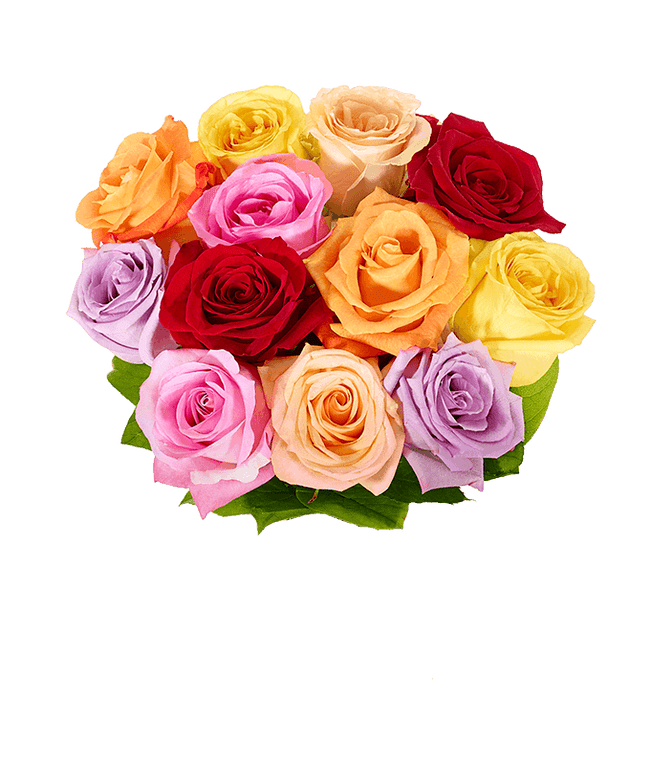 Partial image of Bouquet of one dozen vibrant rainbow roses with optional elegant glass vase and personalized message, perfect for an  without vase