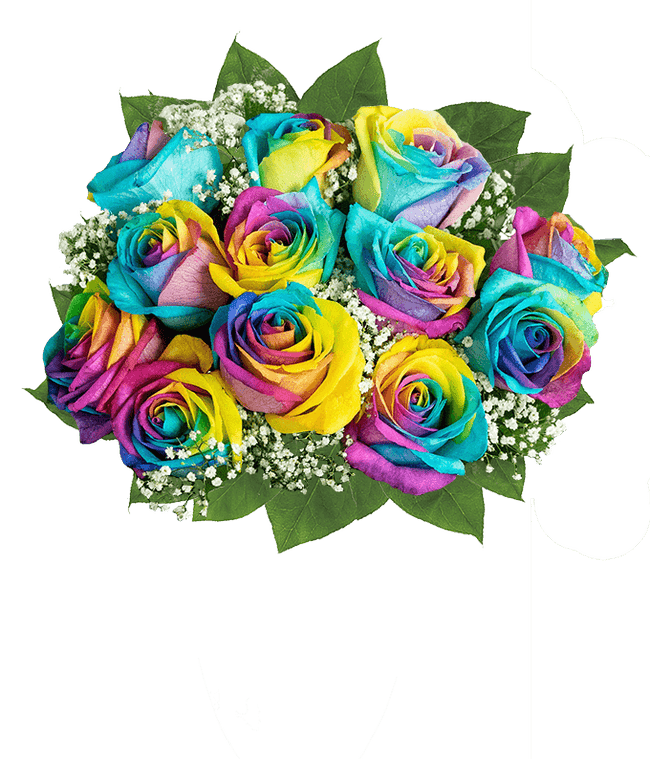 Partial image of Wild rainbow roses bouquet with optional glass vase and personalized apology message. without vase