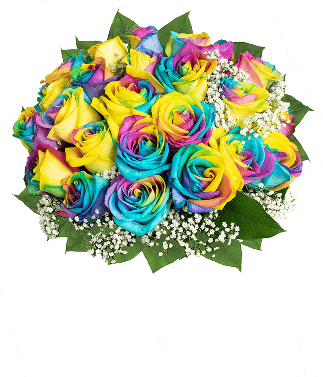 Partial image of Bouquet of two dozen wild rainbow roses with optional glass vase and personalized apology message. without vase