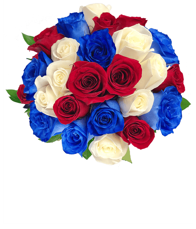 Partial image of Two Dozen Red White &amp; Blue Roses without vase