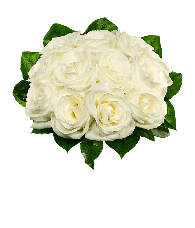 Partial image of An elegant arrangement featuring one dozen white roses. This classic and timeless display offers a touch of purity and sophistication, perfect for any special occasion. without vase