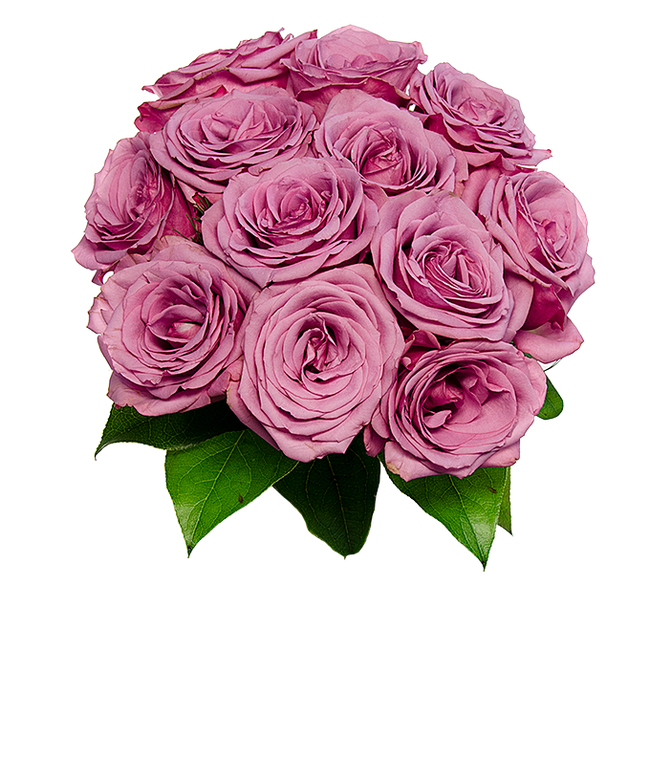 Partial image of Mother's Day purple roses without vase