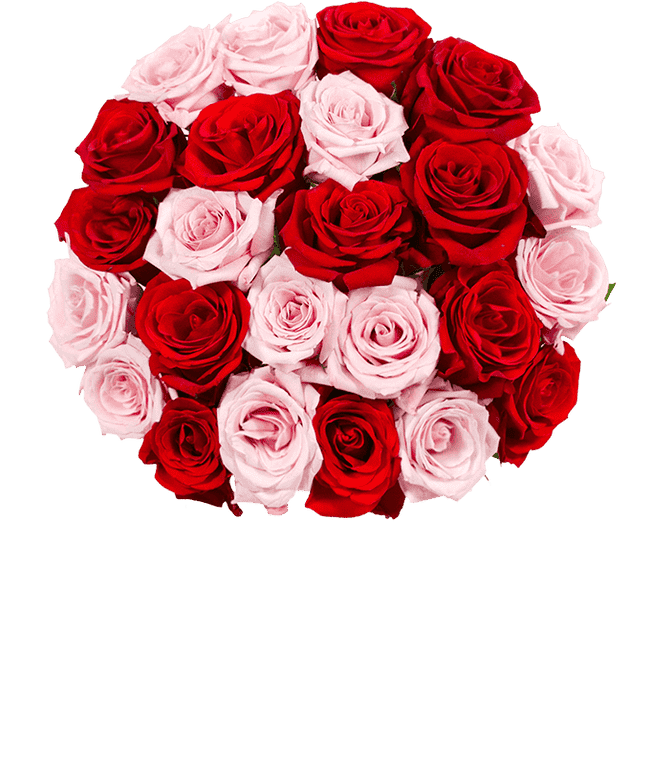 Partial image of Two dozen rose mix with pink and red roses without vase