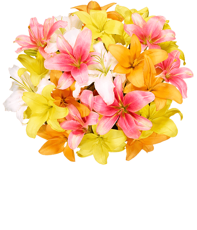 Partial image of Stunning Lily Bouquet - Premium without vase