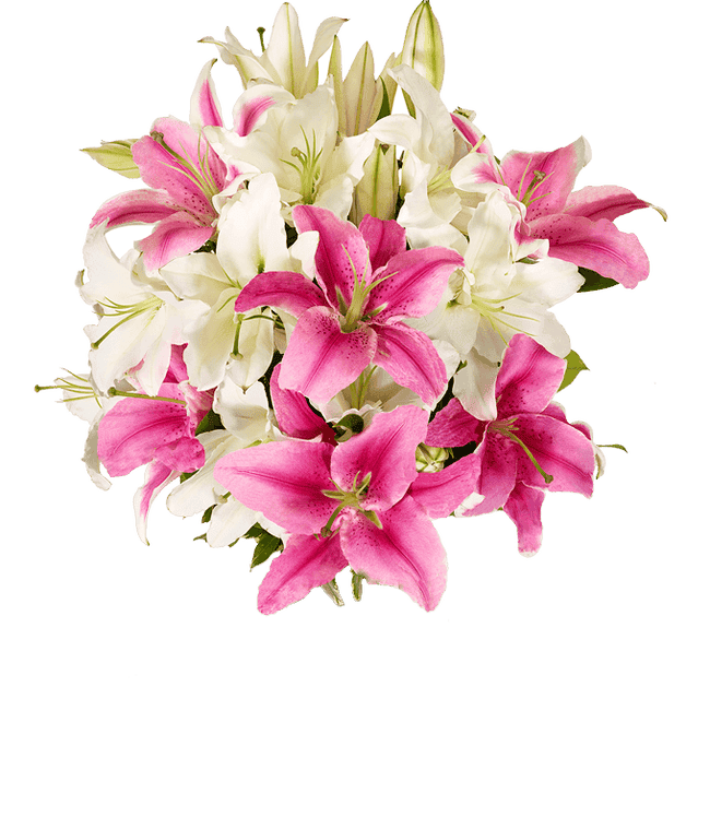 Partial image of A bouquet featuring pink lilies and white lilies, with an optional glass vase. without vase