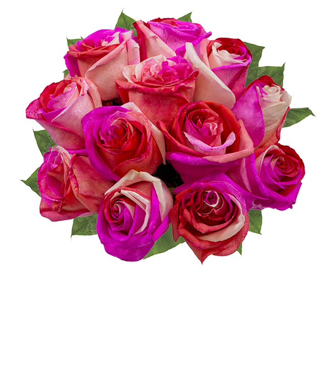 Partial image of One Dozen Wild Pink Roses without vase