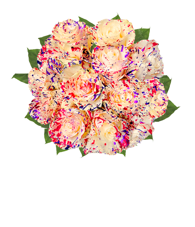 Partial image of One Dozen Wild Confetti Roses without vase